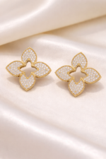 Noble Shine Küpe - Görsel 2